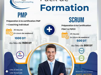 scrum +PMP